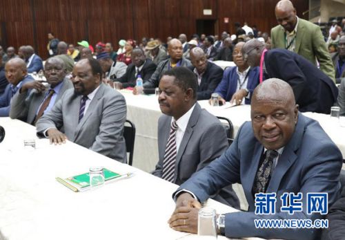 　　11月19日，津巴布韦执政党非洲民族联盟－爱国阵线（民盟）成员在哈拉雷参加中央特别会议。新华社发（肖恩·尤萨摄）